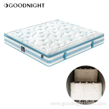 Box spring student mattress OEM customized mattresses